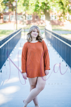 Paighton 0227