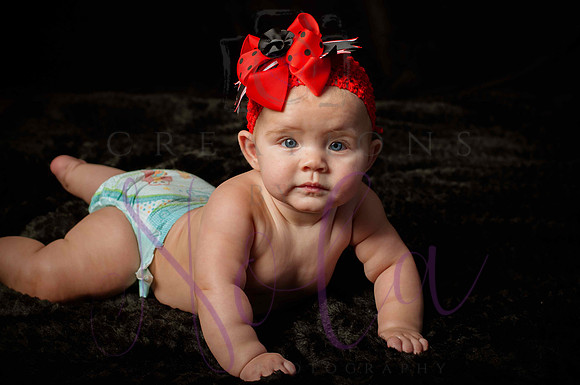 Paisley Jo 181