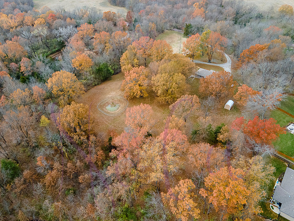 Don Emery Howard Orchard 0170