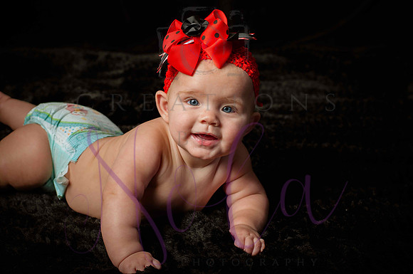 Paisley Jo 183