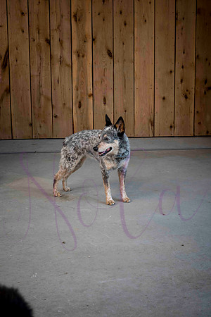 Amy Rucker 0082