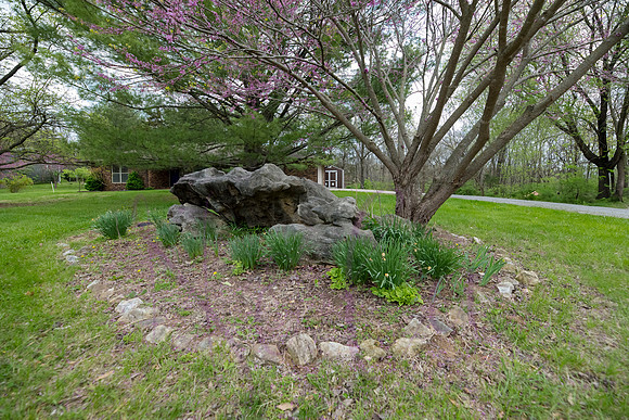 Betsy Old Village Drive 0093
