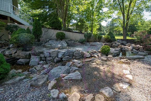 Betsy Shady Hills 2025 0030