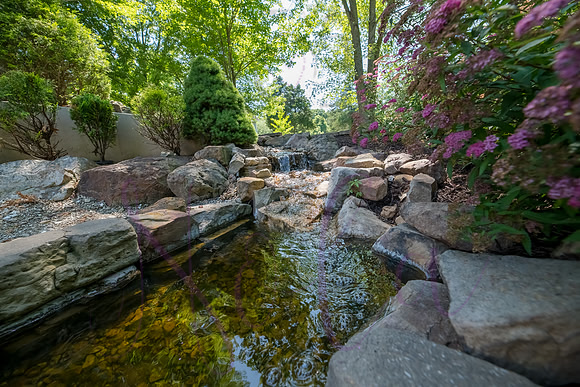 Betsy Shady Hills 2025 0027