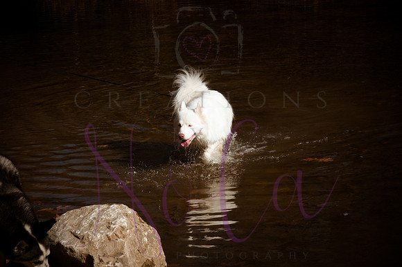 Jaimie Alex 134