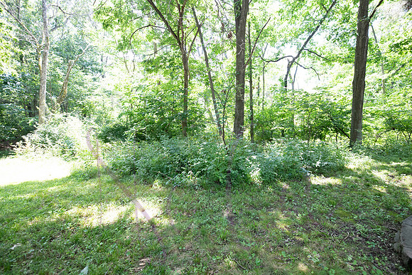 Betsy 6303 Old Village 0072