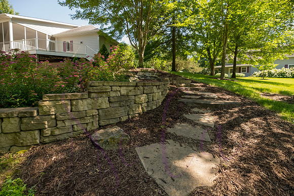 Betsy Shady Hills 2025 0014