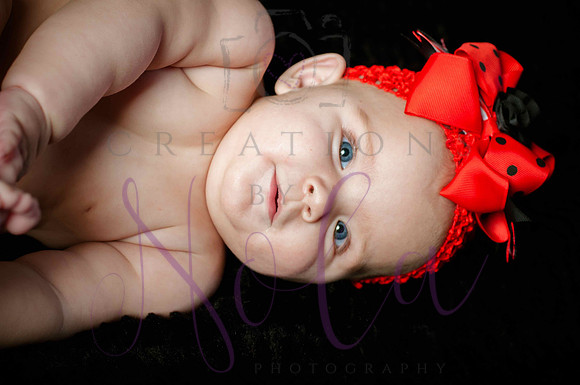 Paisley Jo 176