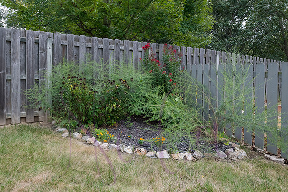 Don Emery Woods Edge 0100