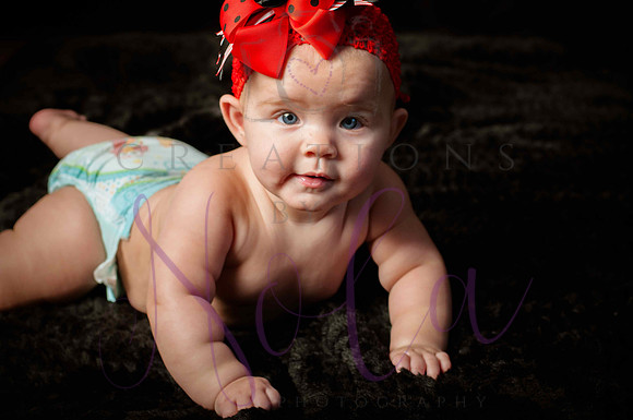 Paisley Jo 180