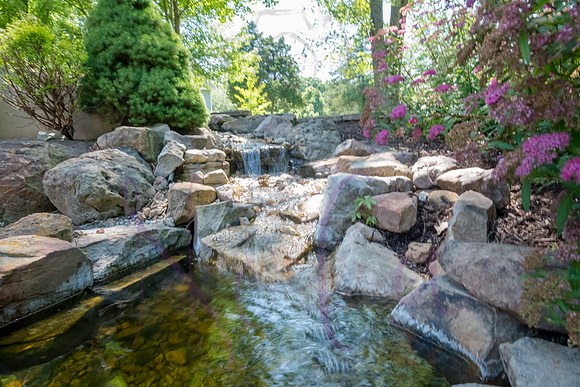 Betsy Shady Hills 2025 0024