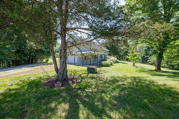 Betsy Shady Hills 2025 0001