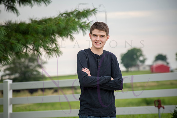 Andrew Miller 0365