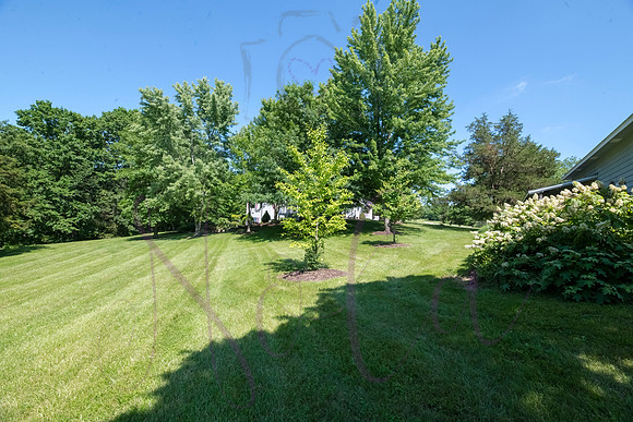 Betsy Shady Hills 2025 0076