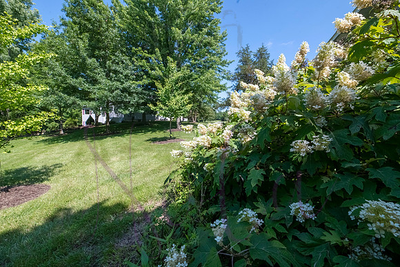 Betsy Shady Hills 2025 0077
