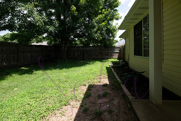 Betsy 901 Norman 0071