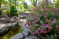 Betsy Shady Hills 2025 0018