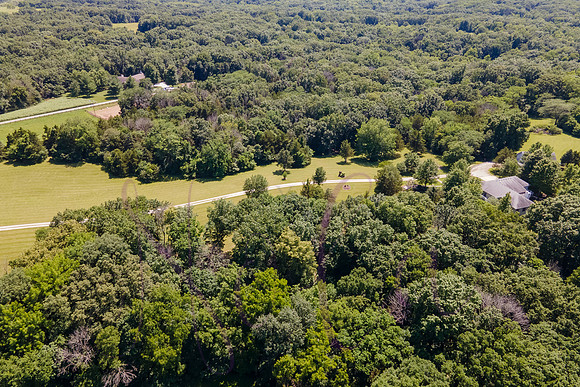 Betsy Shady Hills 2025 0115