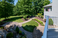Betsy Shady Hills 2025 0007