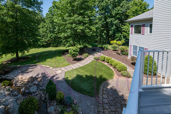 Betsy Shady Hills 2025 0007