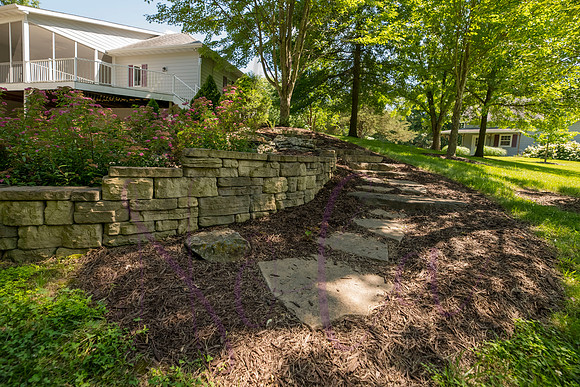 Betsy Shady Hills 2025 0015