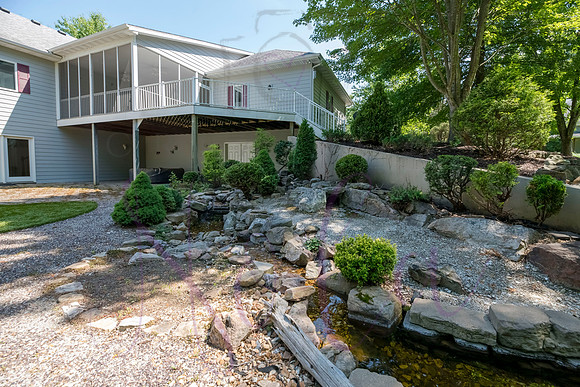 Betsy Shady Hills 2025 0031