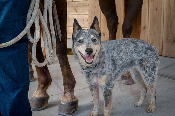 Amy Rucker 0129