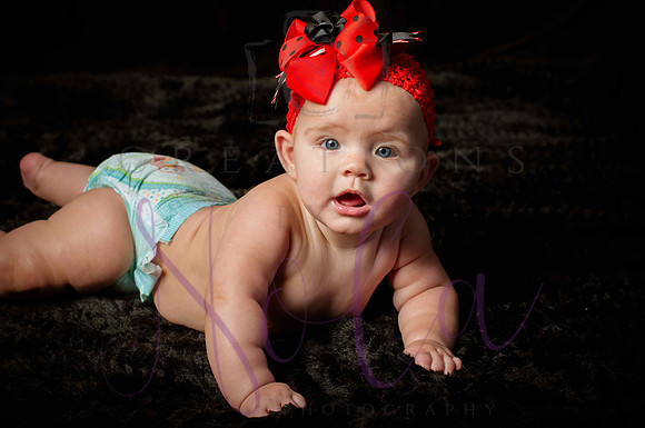 Paisley Jo 182