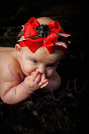Paisley Jo 177