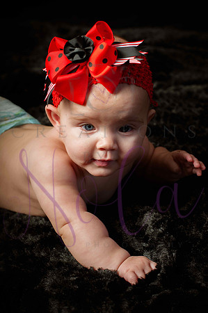 Paisley Jo 178