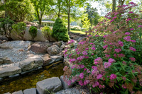 Betsy Shady Hills 2025 0017