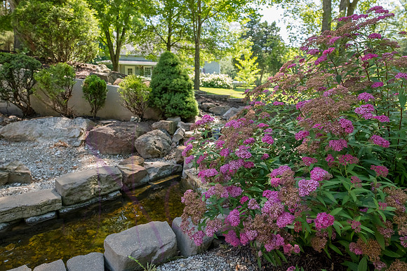 Betsy Shady Hills 2025 0017