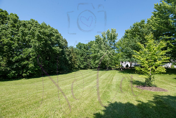 Betsy Shady Hills 2025 0075