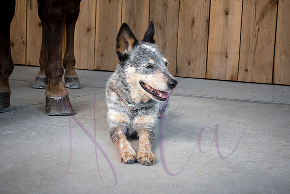 Amy Rucker 0172