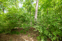 Minnielle Lot 73 0010