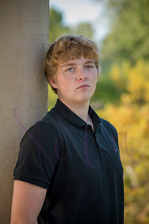 Luke 0190