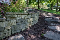 Betsy Shady Hills 2025 0013