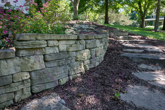 Betsy Shady Hills 2025 0013