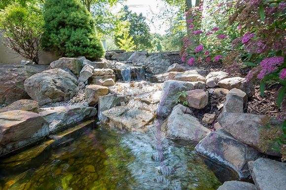 Betsy Shady Hills 2025 0025