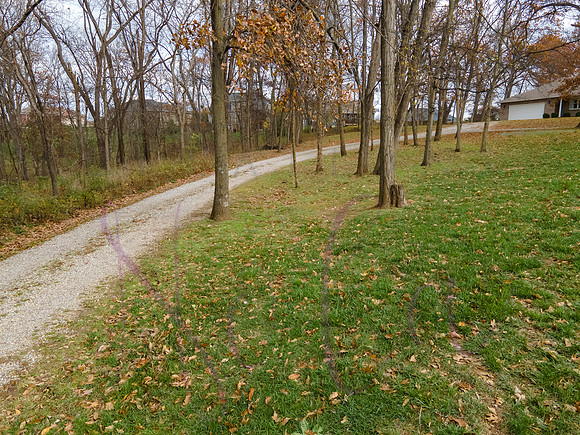 Don Emery Howard Orchard 0146