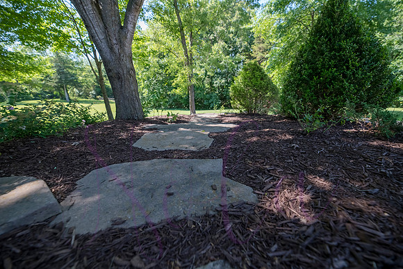 Betsy Shady Hills 2025 0009