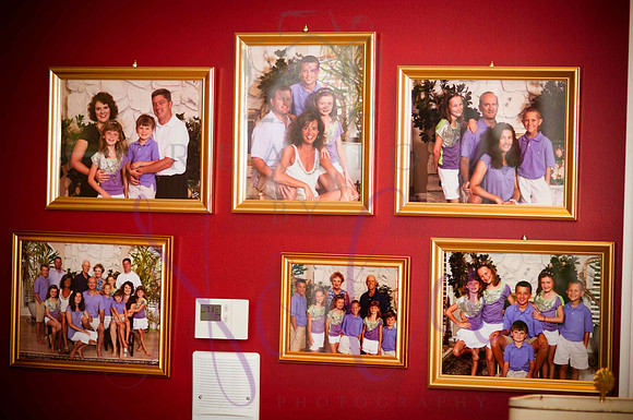 Brant family 10