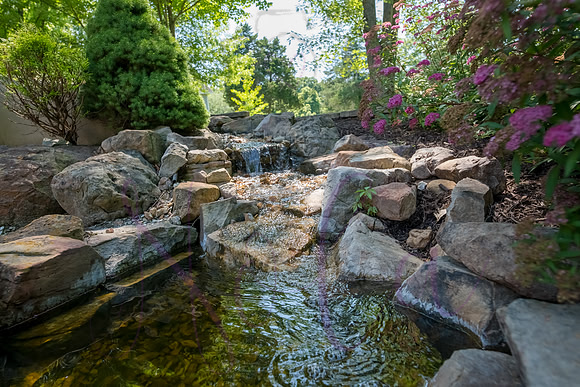 Betsy Shady Hills 2025 0026