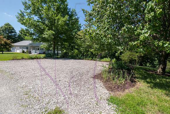 Betsy Shady Hills 2025 0082
