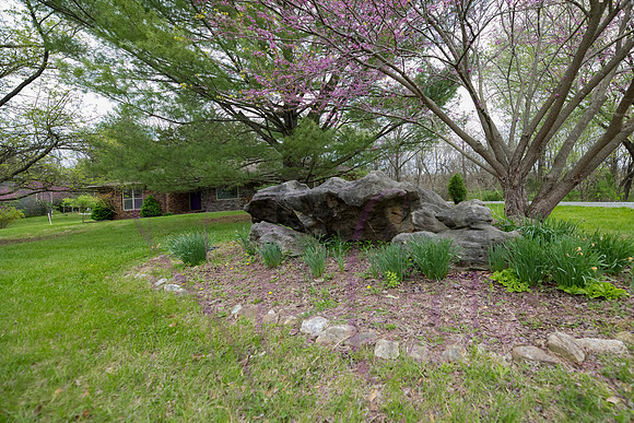 Betsy Old Village Drive 0092
