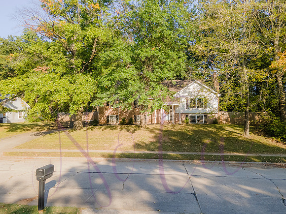 Betsy Arbor 0126