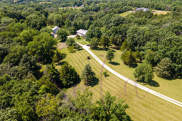 Betsy Shady Hills 2025 0110