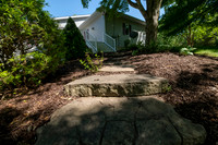 Betsy Shady Hills 2025 0010