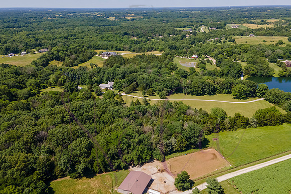 Betsy Shady Hills 2025 0129